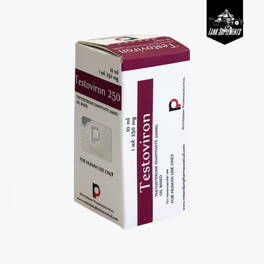 Testoviron 250 (Vial 250 mg) ROTTERDAM